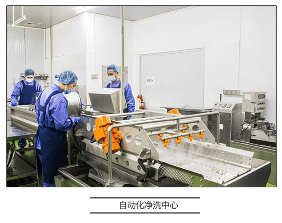 直擊工廠溯源 咚吃如何以科技賦能，保障食品安全新高度