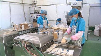 河北 提升產地初加工水平，助力農產品提質增效與優價
